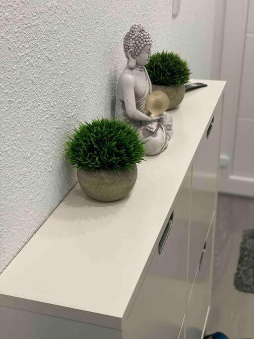 Ferienwohnung Miramar V Torrevieja Dış mekan fotoğraf