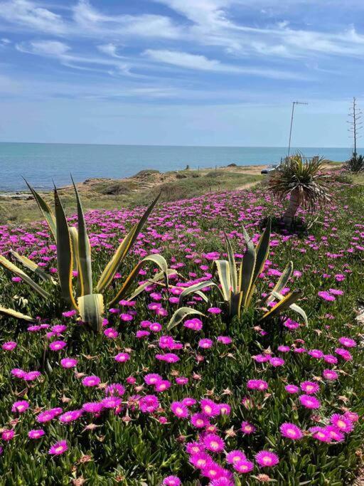 Ferienwohnung Miramar V Torrevieja Dış mekan fotoğraf